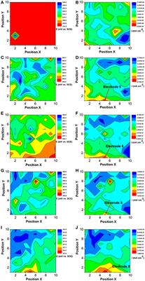 Corrigendum: Microbiologically Influenced Corrosion of Carbon Steel Beneath a Deposit in CO2-saturated Formation Water Containing Desulfotomaculum nigrificans